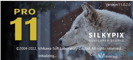 SILKYPIX Developer Studio Pro v11.0.3.0最新破解版
