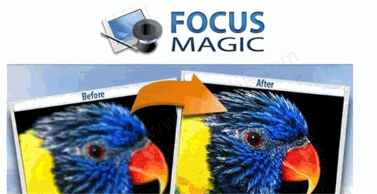 focusmagic中文破解版