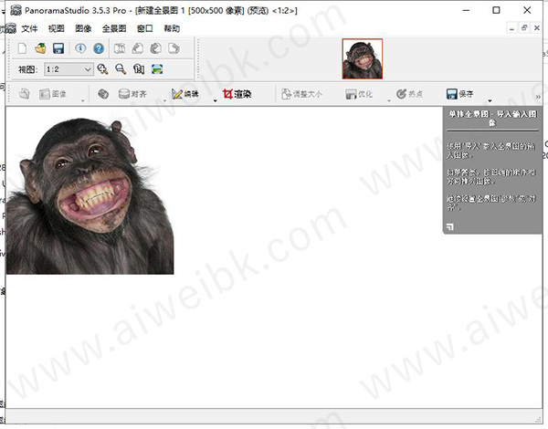 PanoramaStudio Pro 3.5.3.318绿色中文破解版
