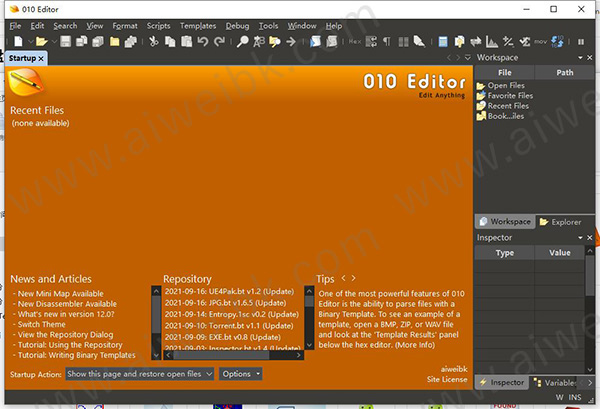 SweetScape 010 Editor(十六进制编译器)破解版